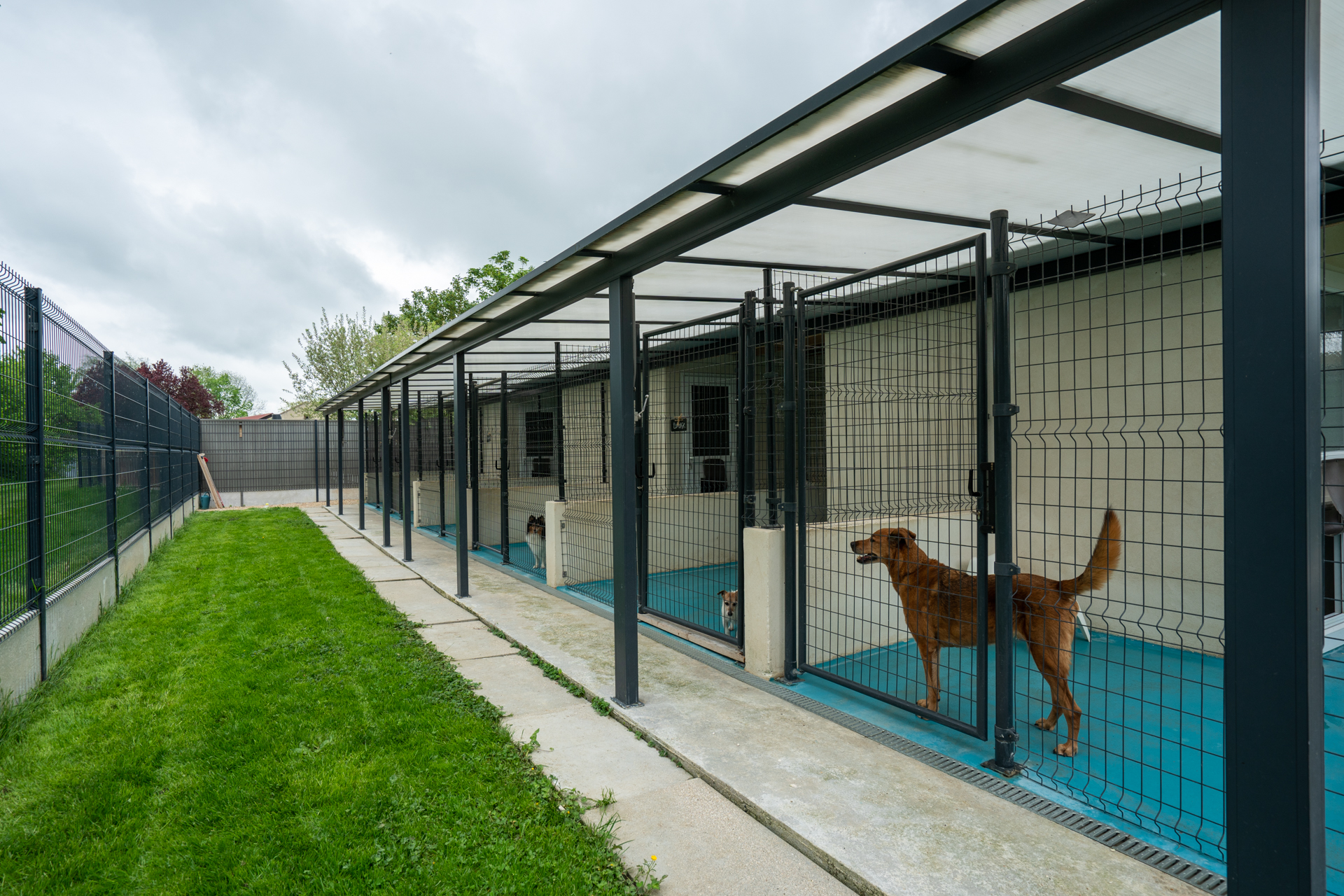 Pension Canine Villiers le Mahieu Pension Canine Villiers le Mahieu